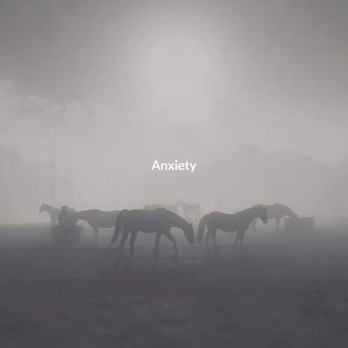 Anxiety