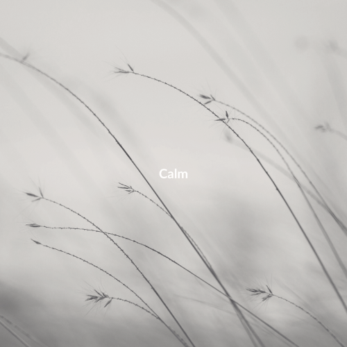 Calm