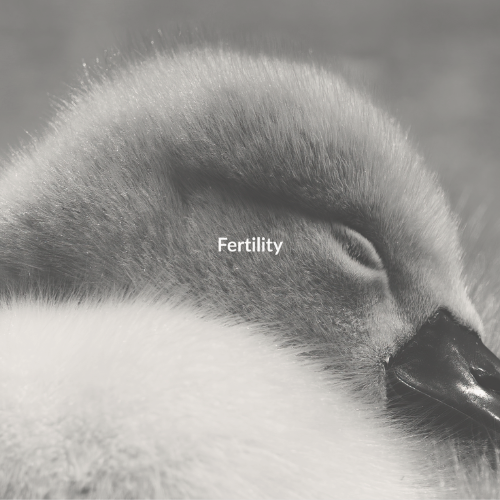 Fertility