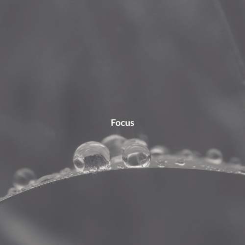 Focus