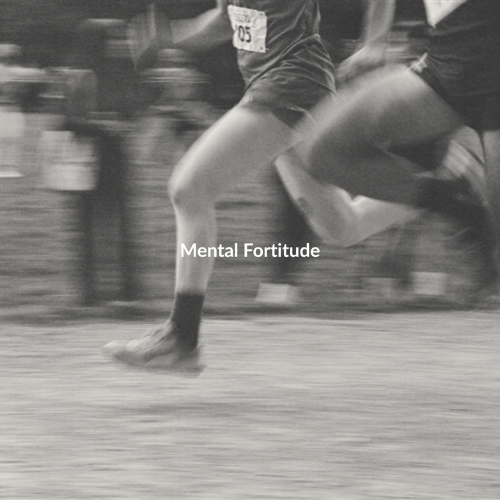 Mental Fortitude