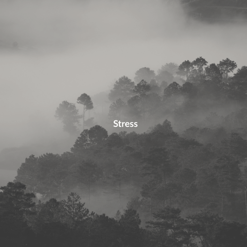 Stress